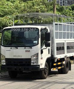 Isuzu Qkr 230 đau Vuong